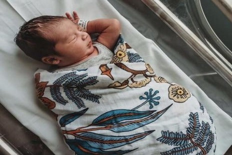 Swaddle (Wattle and Gum)